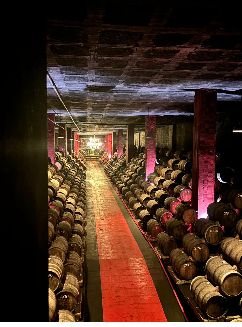 Dramatic red-lit barrel cellar at a Portuguese winery