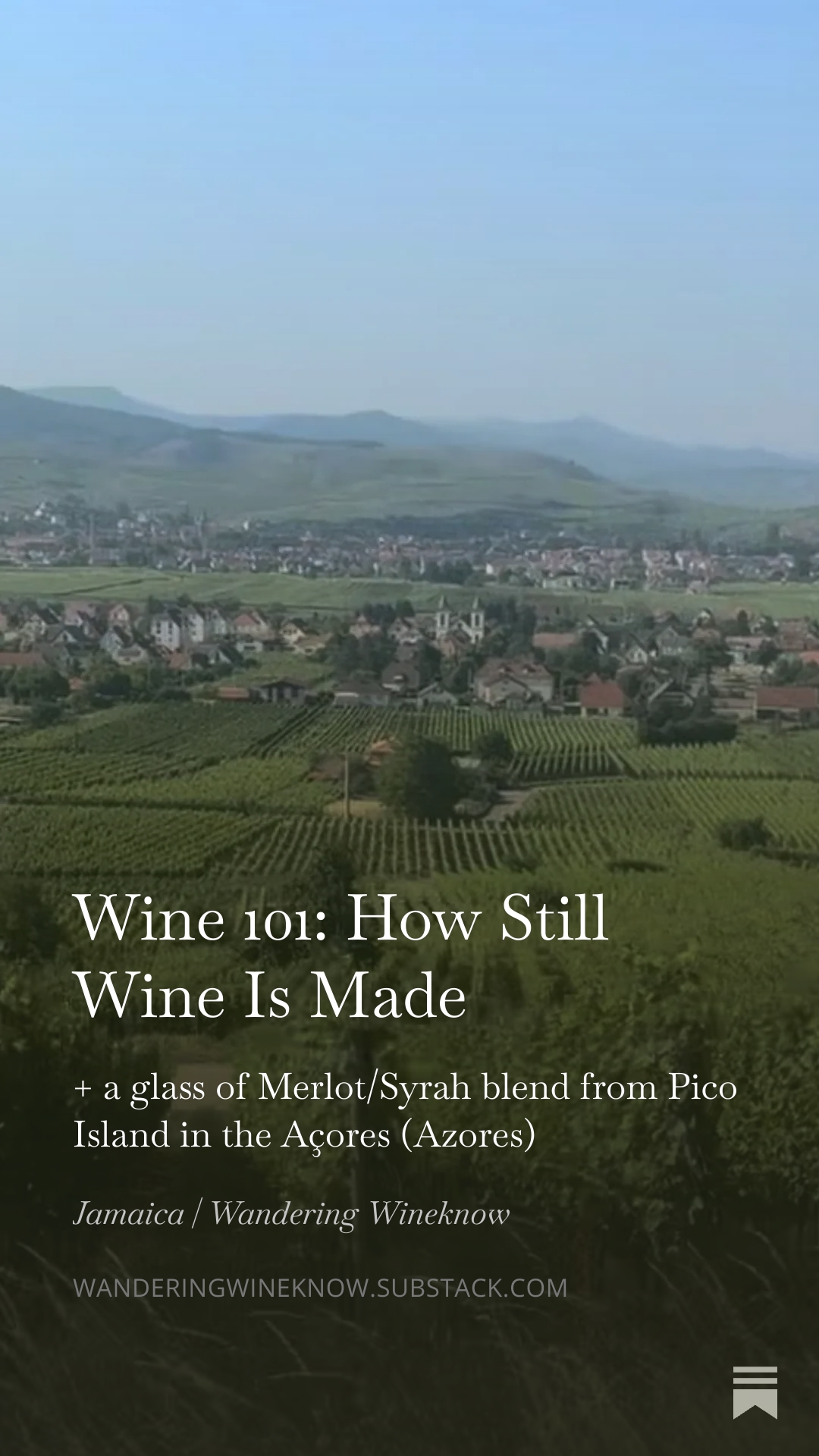 Wine 101: How Still Wine Is Made